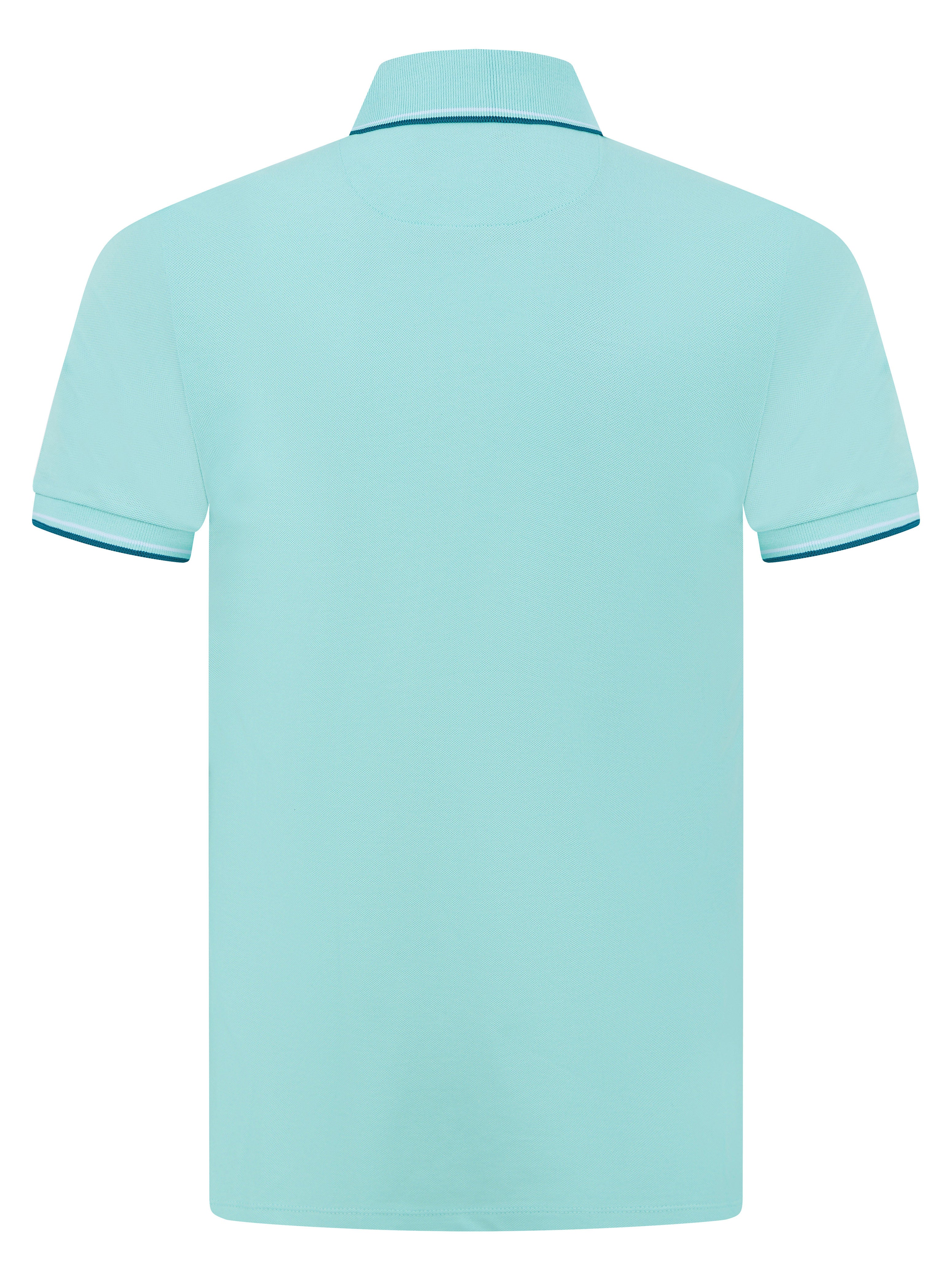 Load image into Gallery viewer, Remus Logo Polo Shirt Mint
