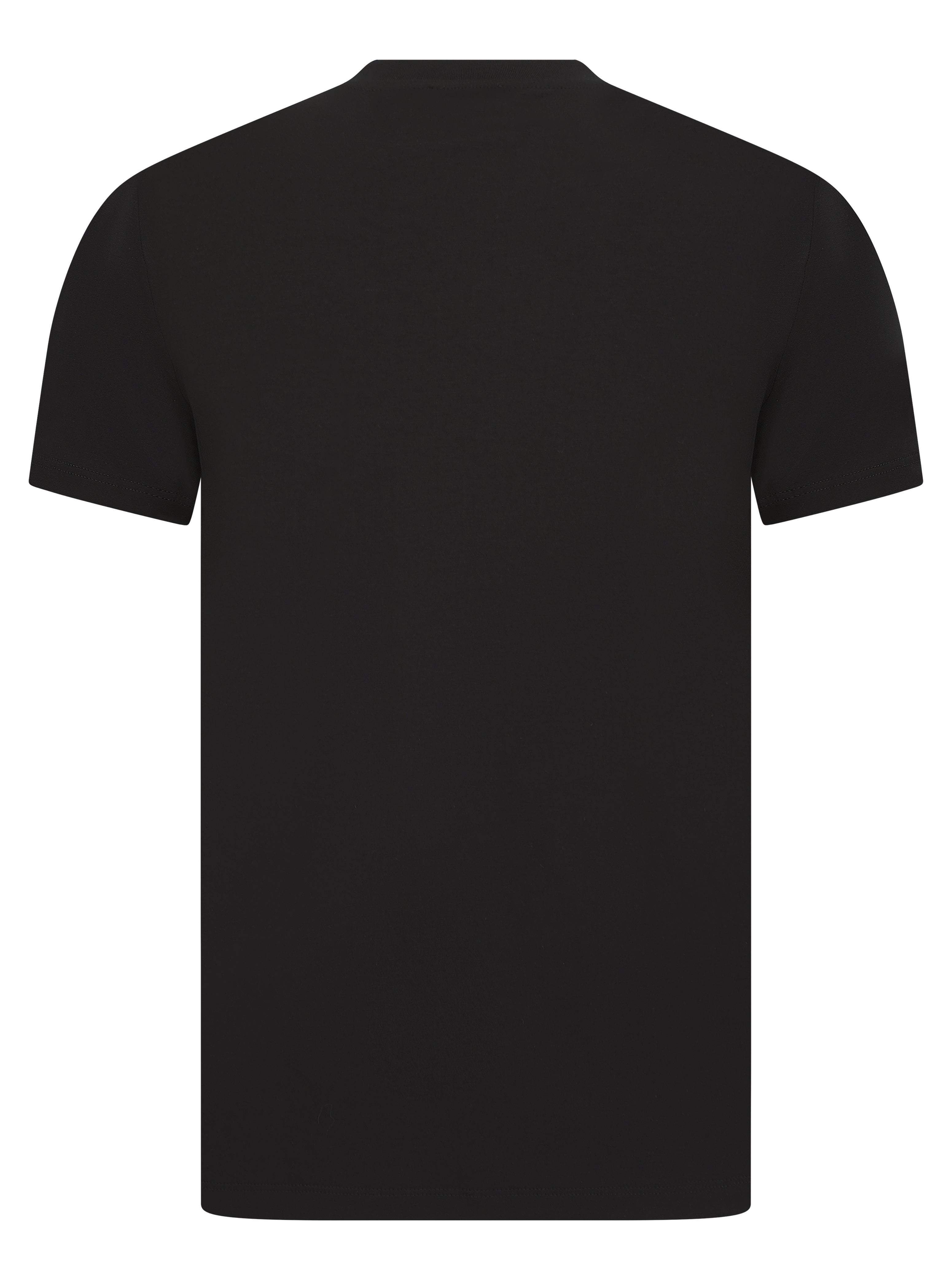 Load image into Gallery viewer, DSquared2 Icon Sleeve Print Tee Black
