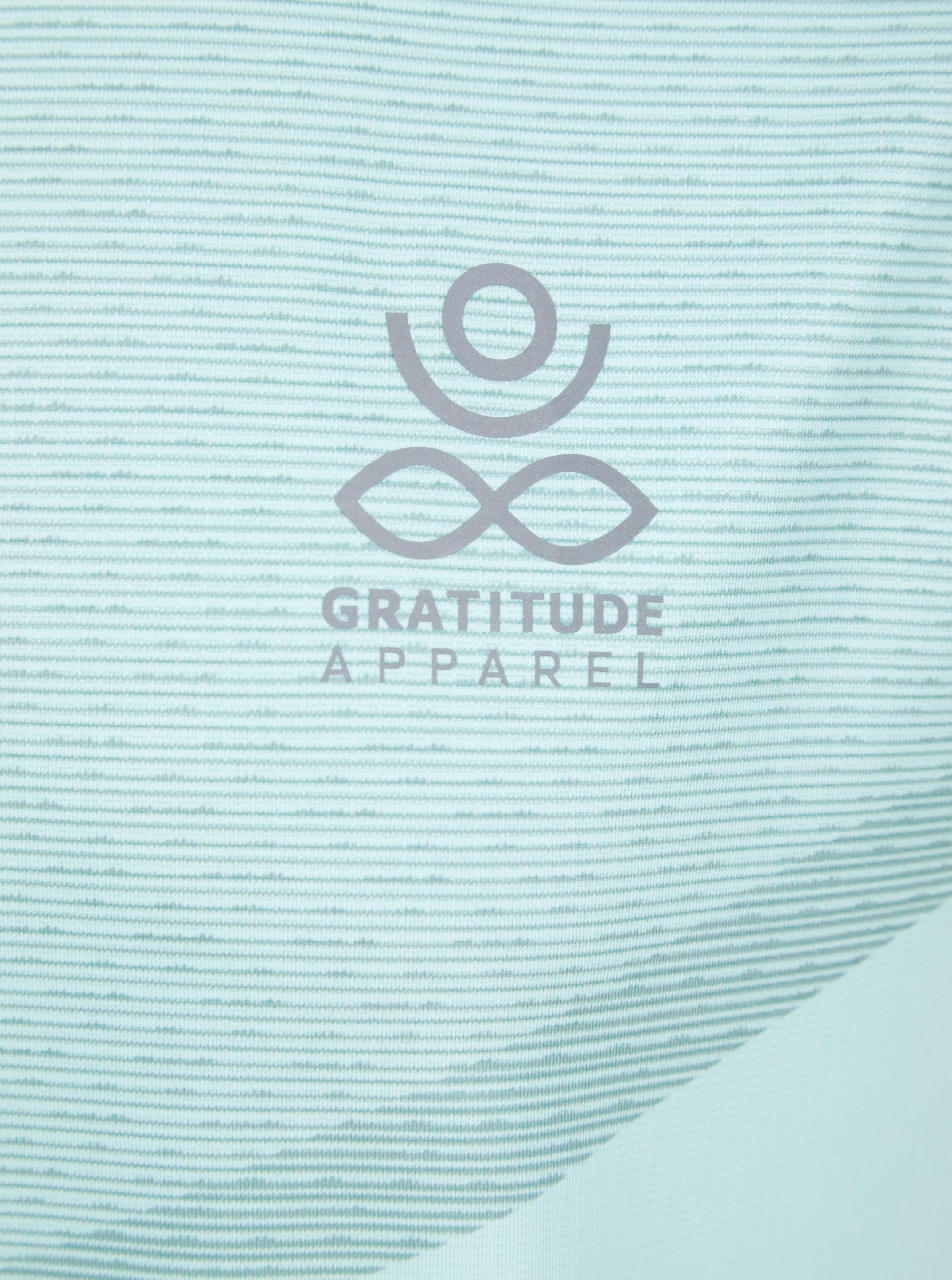 Load image into Gallery viewer, Gratitude Gym T Shirt Mint
