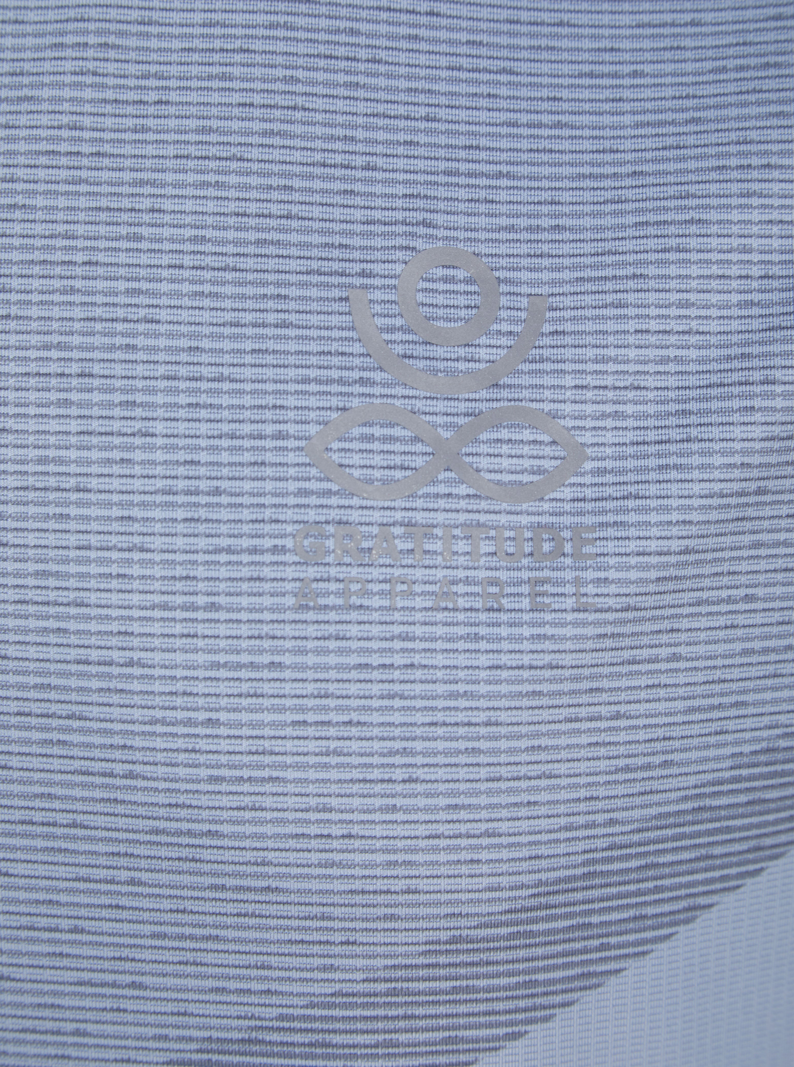 Load image into Gallery viewer, Gratitude Gym T Shirt Blue
