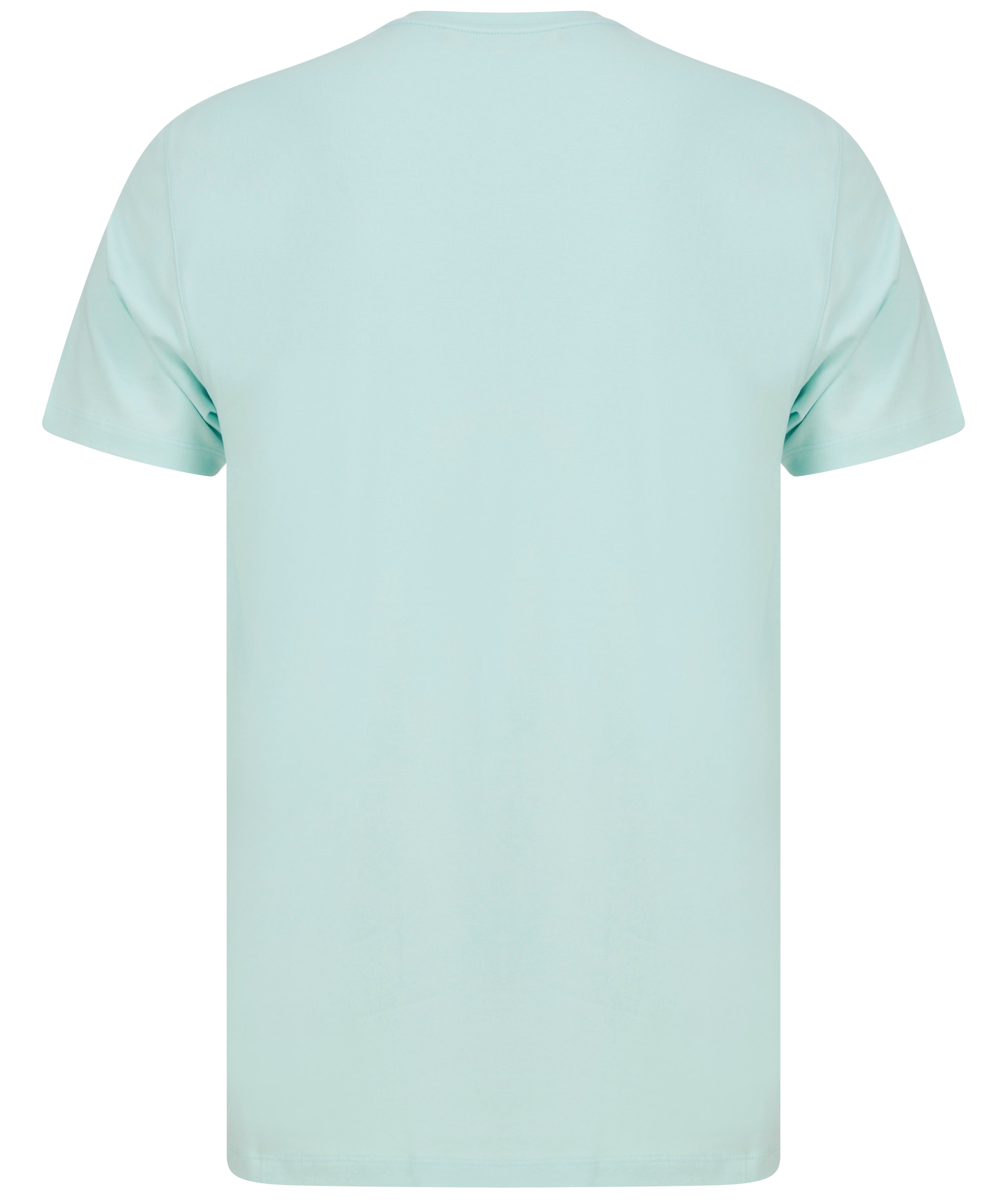 Load image into Gallery viewer, Remus Stretch T Shirt Mint
